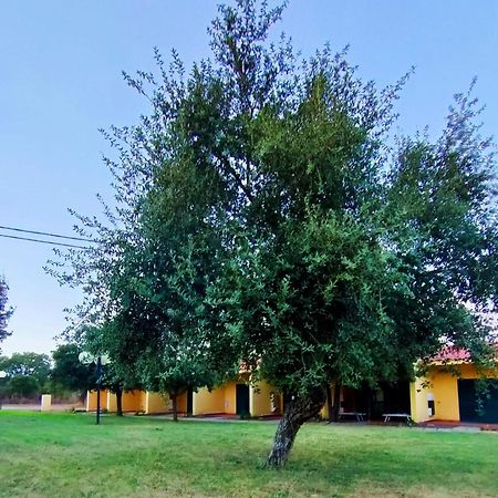 Nuraghe Ruiu Camping & Bungalow Norbello Экстерьер фото
