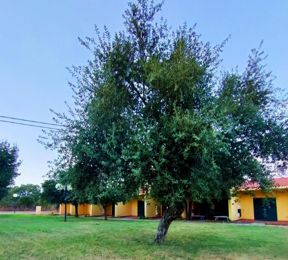 Nuraghe Ruiu Camping & Bungalow Norbello Экстерьер фото